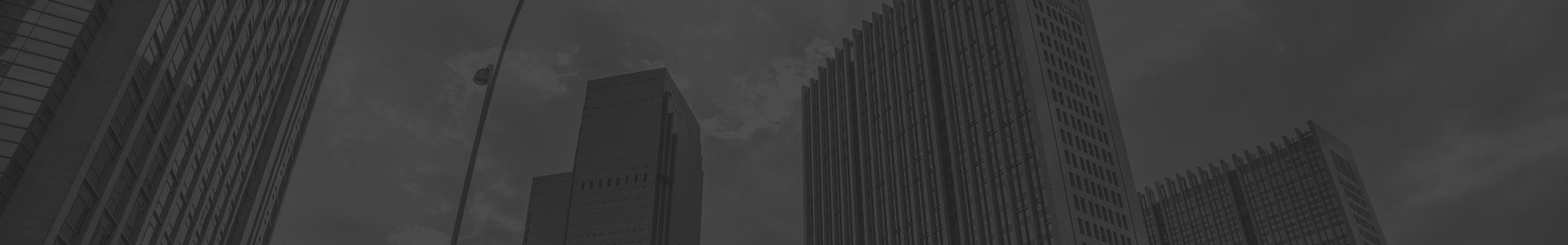 公司簡介